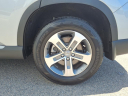 Thumbnail image of 2024 Honda Pilot at Sanford Honda