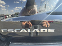 Thumbnail image of 2023 Cadillac Escalade ESV at Greg Bell Chevrolet Cadillac