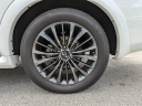 Thumbnail image of 2021 INFINITI QX80 at Arrigo Chrysler Dodge Jeep Ram at Sawgrass