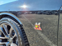 Thumbnail image of 2023 Dodge Challenger at Lilliston Ford