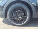 Thumbnail image of 2023 Kia Telluride at Kings Kia