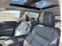 Thumbnail image of 2024 Nissan Murano at Sunrise Volkswagen of Fort Pierce