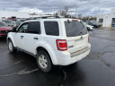 2011 Ford Escape XLT at Serra Honda Brighton