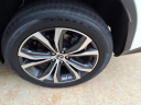 Thumbnail image of 2021 Lexus RX 350 at Lexus Of Shreveport-Bossier City