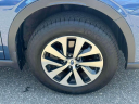 Thumbnail image of 2022 Subaru Outback at South Shore Subaru