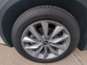 Thumbnail image of 2022 INFINITI QX50 at Lia Infiniti