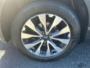Thumbnail image of 2016 Subaru Outback at Stallion Auto Group