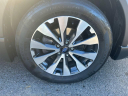 Thumbnail image of 2016 Subaru Outback at Stallion Auto Group