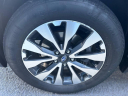Thumbnail image of 2016 Subaru Outback at Stallion Auto Group