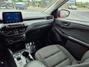 Thumbnail image of 2024 Ford Escape at D'orazio Ford
