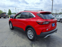 Thumbnail image of 2024 Ford Escape at D'orazio Ford