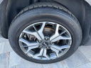 Thumbnail image of 2021 Kia Seltos at Parks Lincoln of Longwood - In-Transit