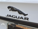 Thumbnail image of 2024 Jaguar XF at Piazza Jaguar Land Rover Willow Grove