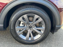 Thumbnail image of 2022 Ford Explorer at Levittown Ford