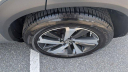 Thumbnail image of 2020 Lexus NX 300h at Ciocca Audi Allentown - [Used]
