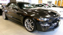 Thumbnail image of 2022 Ford Mustang at Hempstead Lincoln Ford