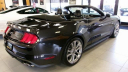 Thumbnail image of 2022 Ford Mustang at Hempstead Lincoln Ford