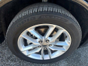 Thumbnail image of 2024 Dodge Durango at Holiday Chevrolet Ford  NEW