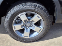 Thumbnail image of 2024 Honda Ridgeline at Team Gillman Honda North