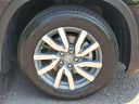 Thumbnail image of 2022 Honda Pilot at Hamilton Honda