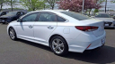 Thumbnail image of 2019 Hyundai SONATA at Hamilton Honda