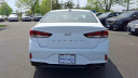Thumbnail image of 2019 Hyundai SONATA at Hamilton Honda