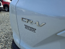 Thumbnail image of 2017 Honda CR-V at Manahawkin Auto Sales