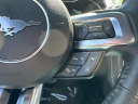 Thumbnail image of 2022 Ford Mustang at Highland Park Ford Lincoln, Inc.