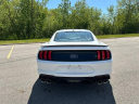 Thumbnail image of 2022 Ford Mustang at Highland Park Ford Lincoln, Inc.