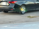 Thumbnail image of 2018 Cadillac Escalade ESV at TEXANS AUTO GROUP