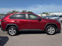 Thumbnail image of 2019 Toyota RAV4 at Toyota Scion of Tampa Bay