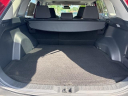 Thumbnail image of 2019 Toyota RAV4 at Toyota Scion of Tampa Bay
