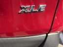 Thumbnail image of 2019 Toyota RAV4 at Toyota Scion of Tampa Bay