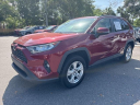 Thumbnail image of 2019 Toyota RAV4 at Toyota Scion of Tampa Bay