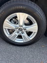 Thumbnail image of 2019 Toyota RAV4 at Toyota Scion of Tampa Bay
