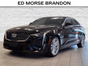Thumbnail image of 2024 Cadillac CT4 at Brandon Auto Mall By Ed Morse