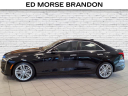 Thumbnail image of 2024 Cadillac CT4 at Brandon Auto Mall By Ed Morse