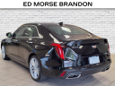 Thumbnail image of 2024 Cadillac CT4 at Brandon Auto Mall By Ed Morse
