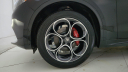 Thumbnail image of 2024 Alfa Romeo Stelvio at Maserati & Alfa Romeo of Monmouth