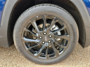 Thumbnail image of 2023 GMC Terrain at Frank Brown Honda GMC