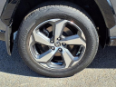 Thumbnail image of 2021 Toyota RAV4 Prime at Toyota Universe