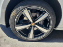 Thumbnail image of 2025 Porsche Macan at Bert Smith Porsche - NEW