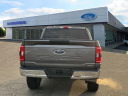 Thumbnail image of 2023 Ford F-150 at Riverhead Ford