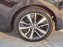 Thumbnail image of 2020 Nissan Maxima at Kings Mazda