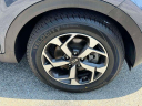 Thumbnail image of 2022 Kia Sportage at South Shore Kia