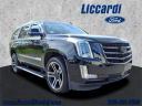 2016 Cadillac Escalade Premium Collection at Liccardi Ford Inc