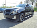 Thumbnail image of 2016 Cadillac Escalade at Liccardi Ford Inc