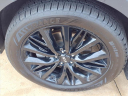 Thumbnail image of 2021 Kia Telluride at Serra Buick Gmc Champaign