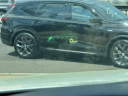 Thumbnail image of 2019 Cadillac Escalade at Champion Used Auto Sales