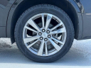 Thumbnail image of 2024 Cadillac XT6 at Ed Morse Bayview Cadillac